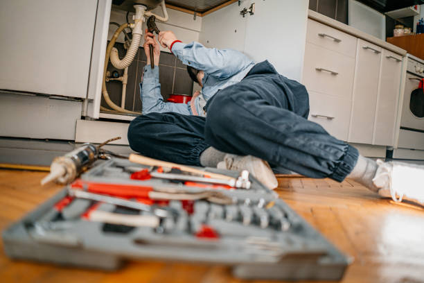 Best Affordable Plumbing Services  in Avis, PA