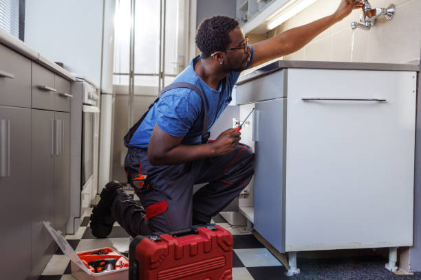 Best Affordable Plumber Near Me  in Avis, PA